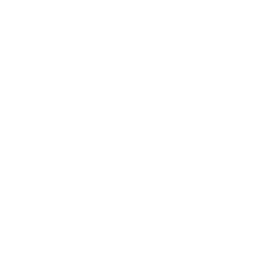 logo1